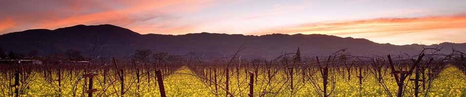 napa valley